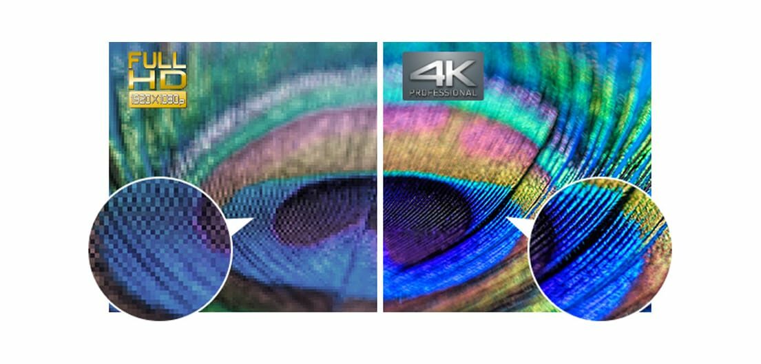 SQE2 Series - Stunning Panasonic 4K Quality Right Down to the Details