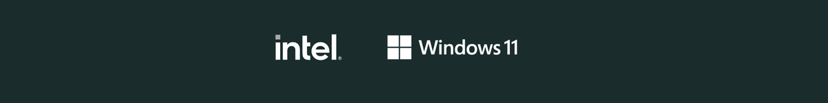 intel_win11