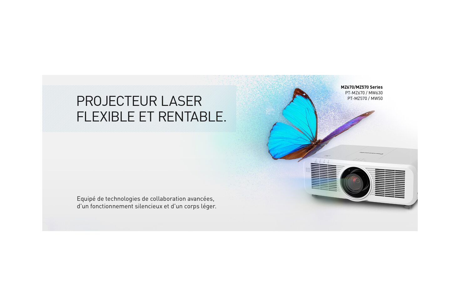 PAN1142 LPB 1200x500 Butterfly PT MZ670 FR