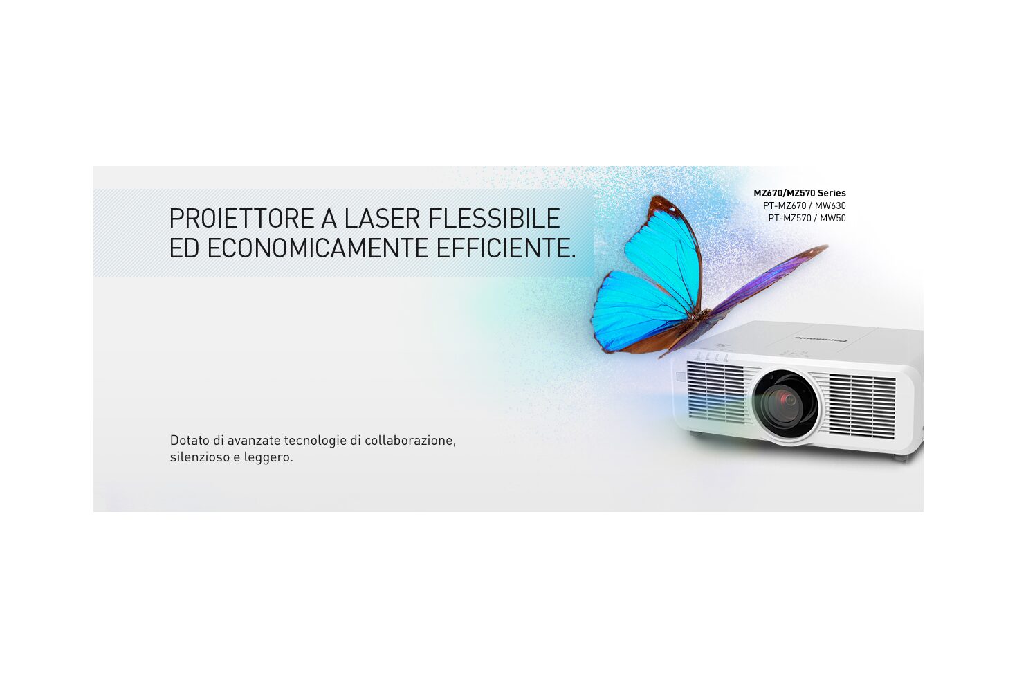 PAN1142 LPB 1200x500 Butterfly PT MZ670 IT