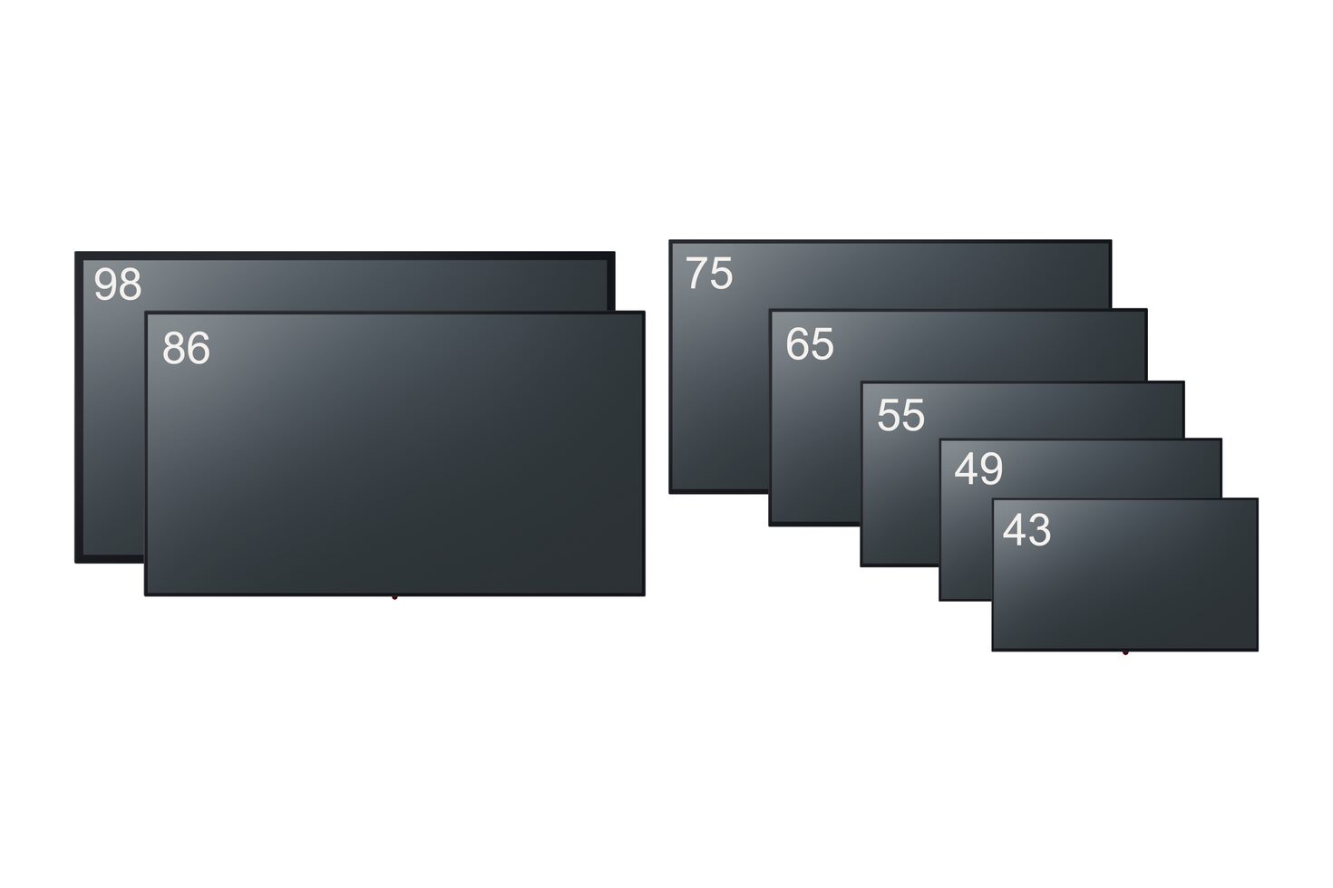 SQE1/CQE1 Series Lineup Image (with inches)