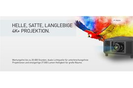 PAN1142 LPB 1200x500 Parrot PT RQ32K DE