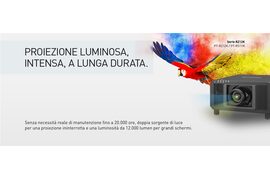 PAN1142 LPB 1200x500 Parrot Serie RZ12K IT