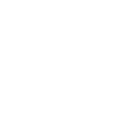 Shopping Icon