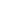 Speaker icon