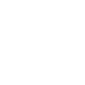 Speaker icon