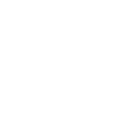 Network icon
